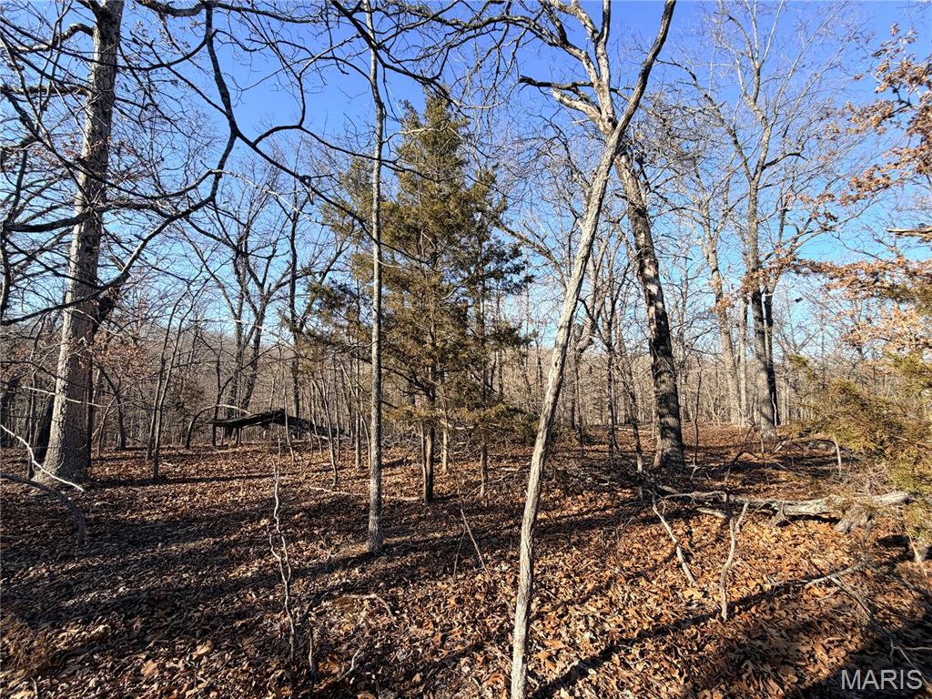 Gospel Ridge Comm - Land