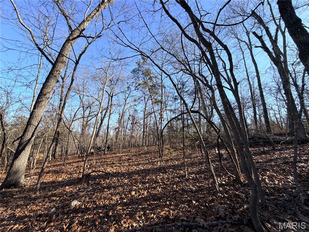 Gospel Ridge Comm - Land