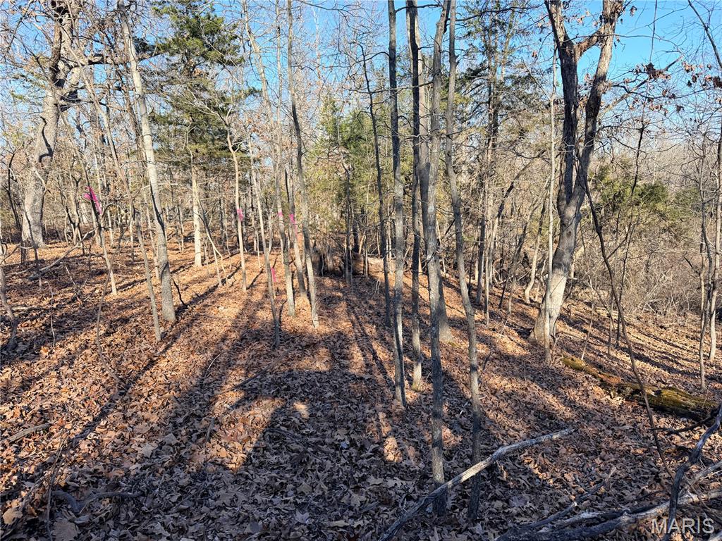 Gospel Ridge Comm - Land