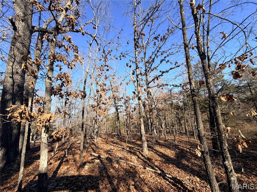 Gospel Ridge Comm - Land