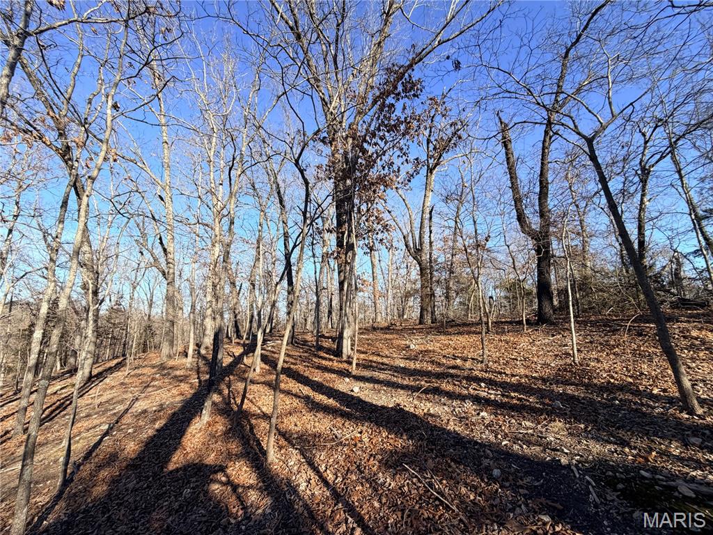 Gospel Ridge Comm - Land