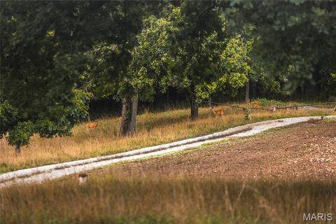 Tiny photo for 0 Knobby Creek Lane, Edwards, MO 65326 (MLS # 26012410)