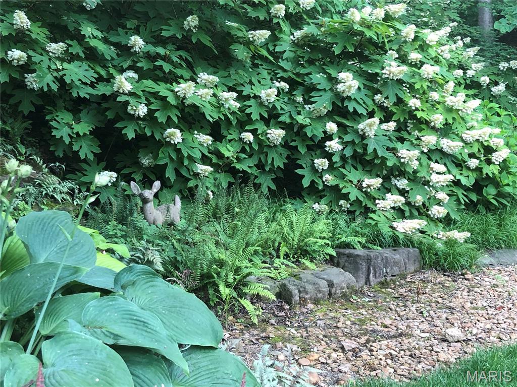 Country Club Green - Residential