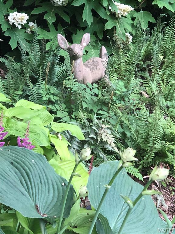 Country Club Green - Residential