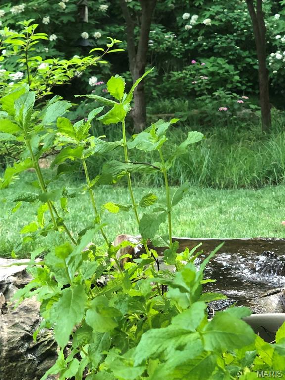 Country Club Green - Residential