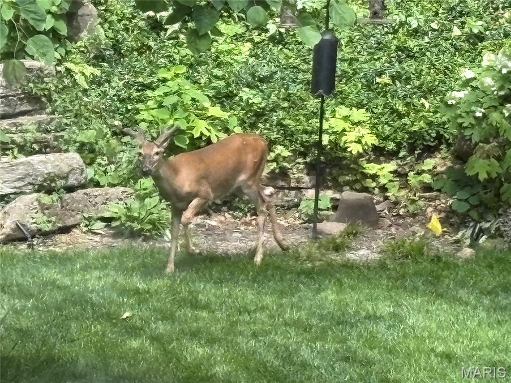 Country Club Green - Residential