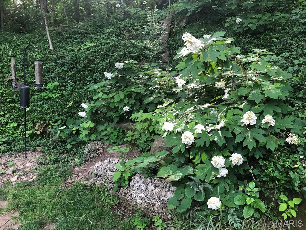 Country Club Green - Residential