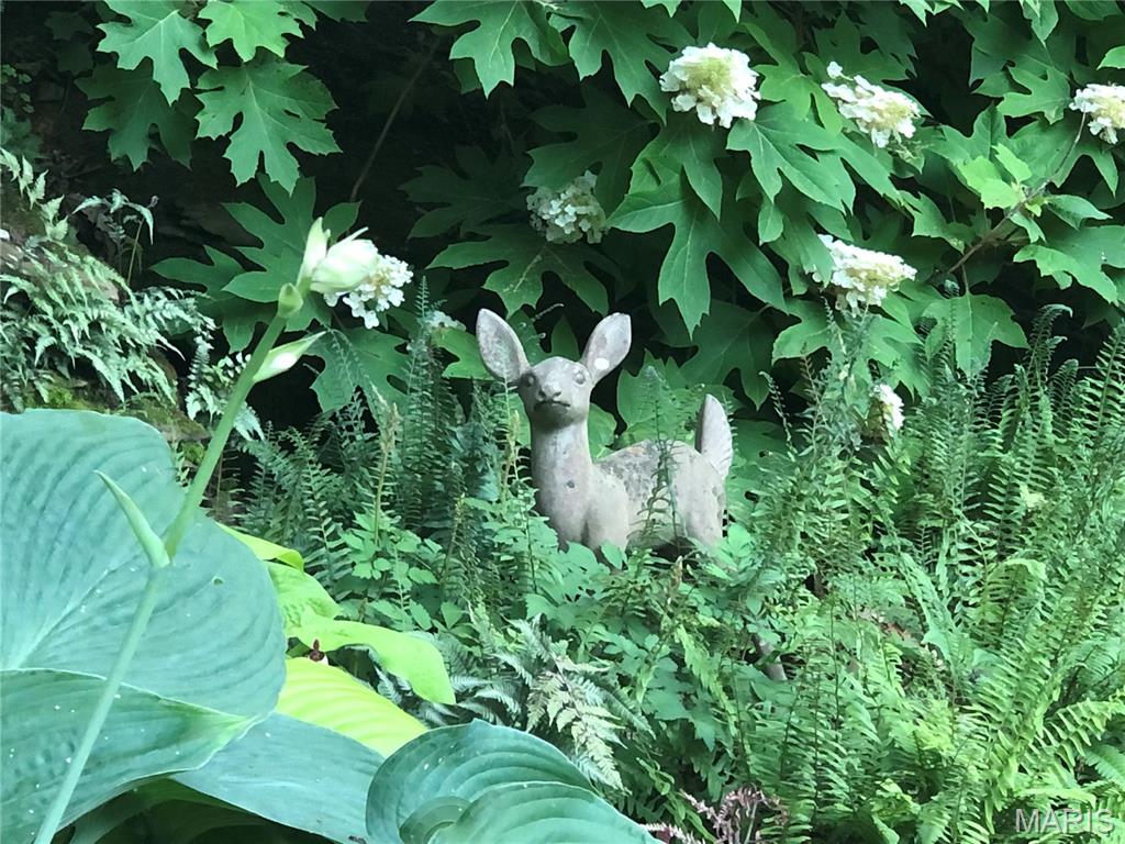 Country Club Green - Residential