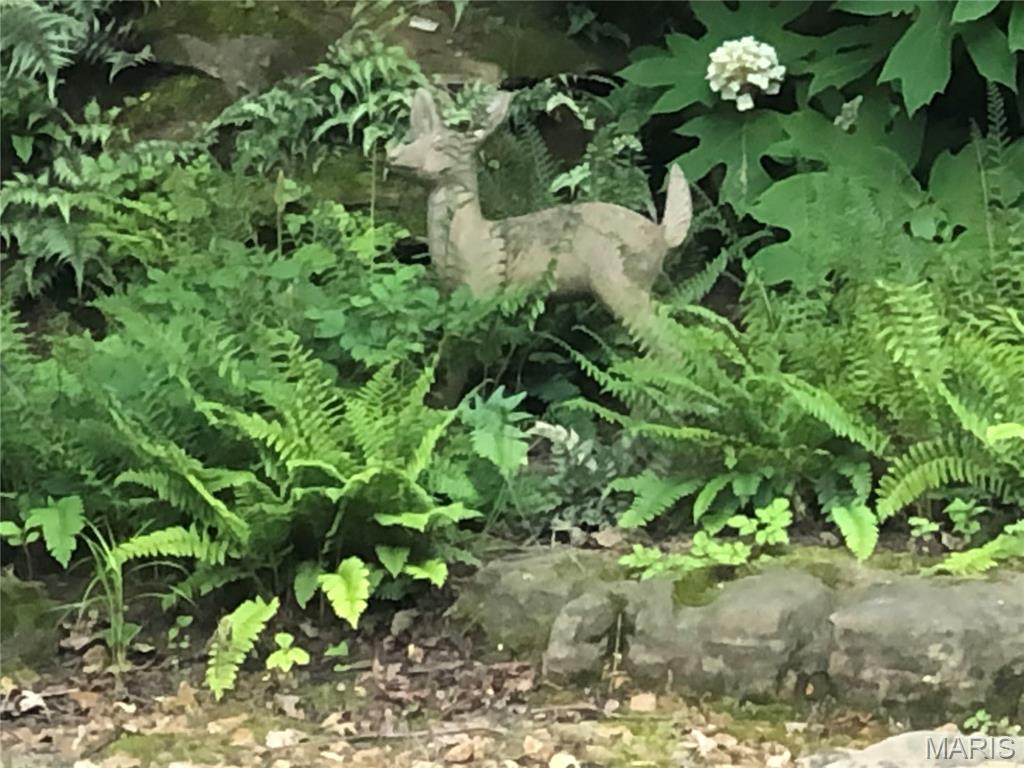 Country Club Green - Residential