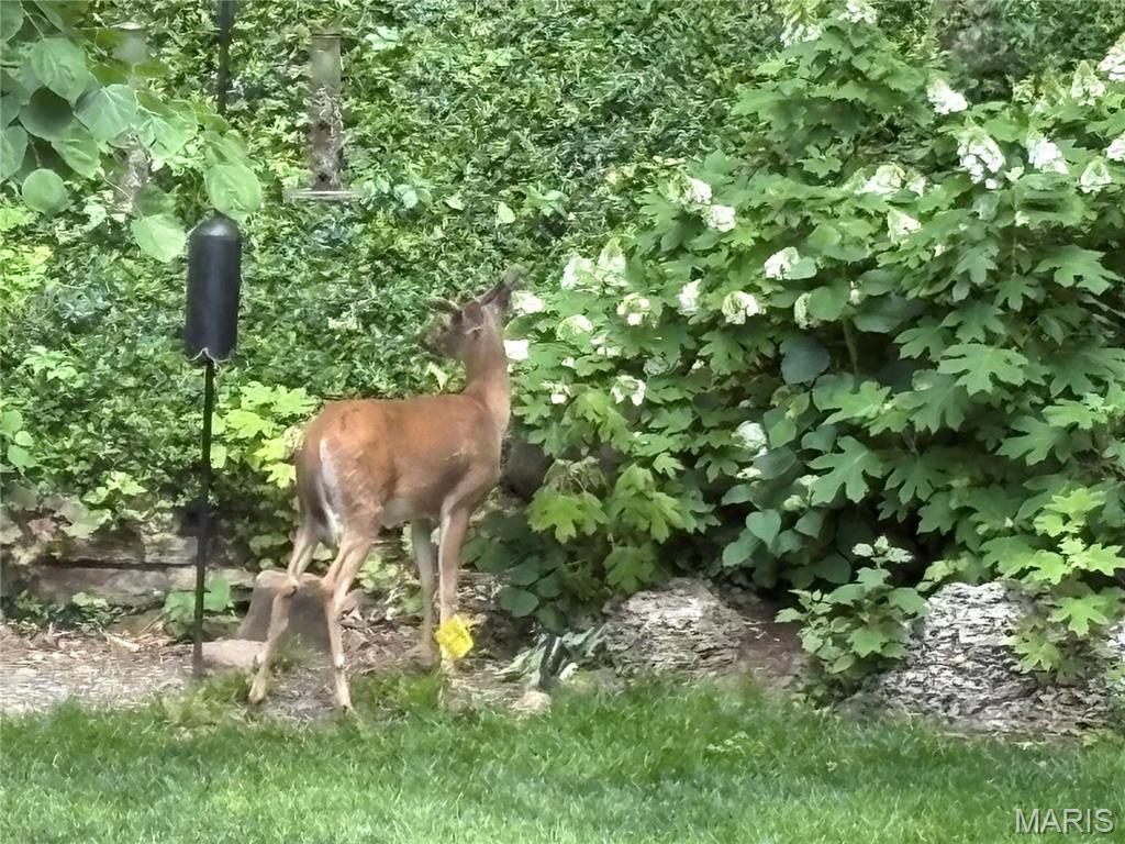 Country Club Green - Residential