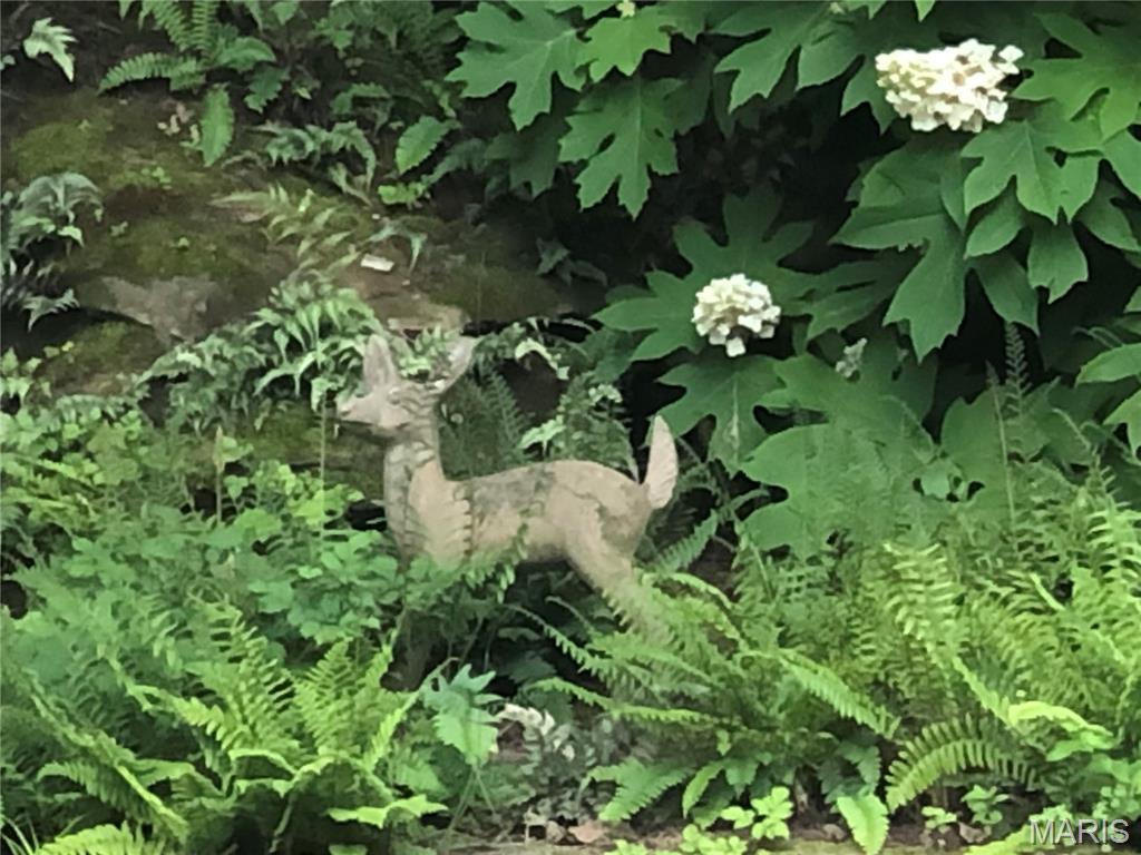 Country Club Green - Residential