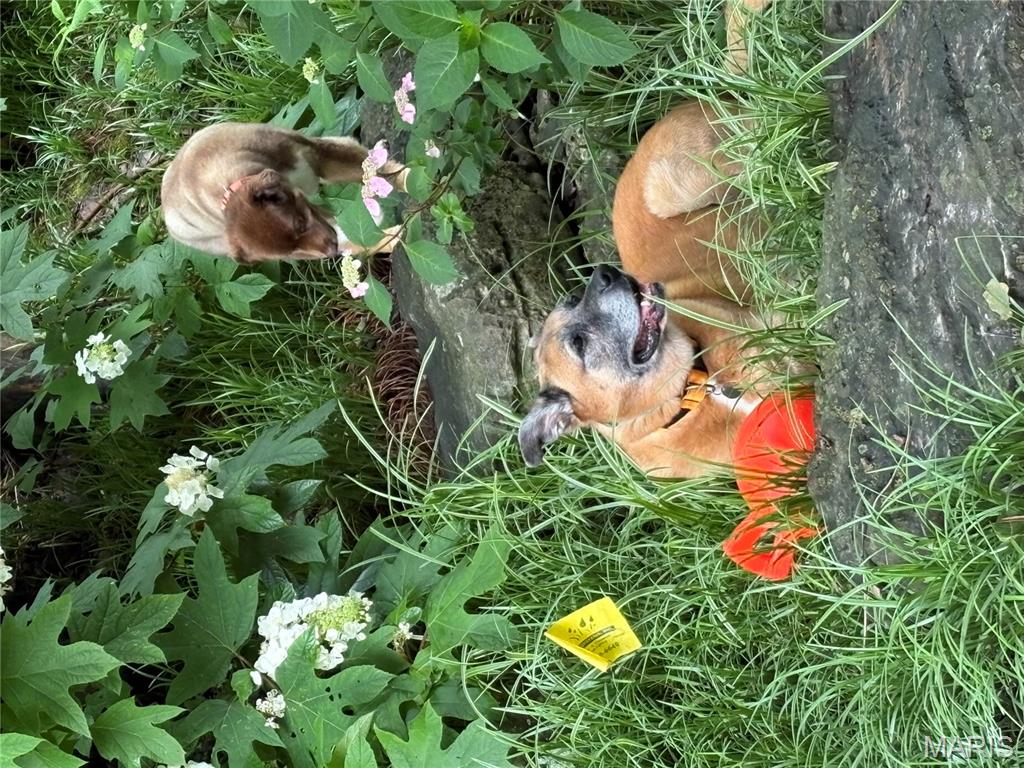 Country Club Green - Residential