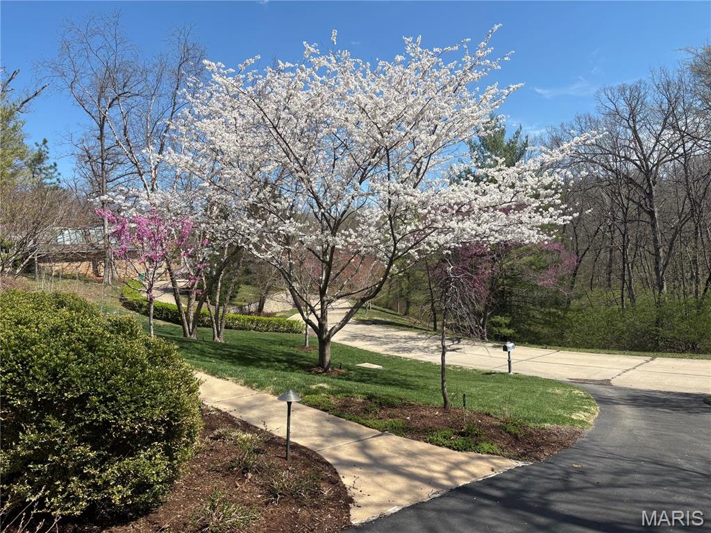 Country Club Green - Residential