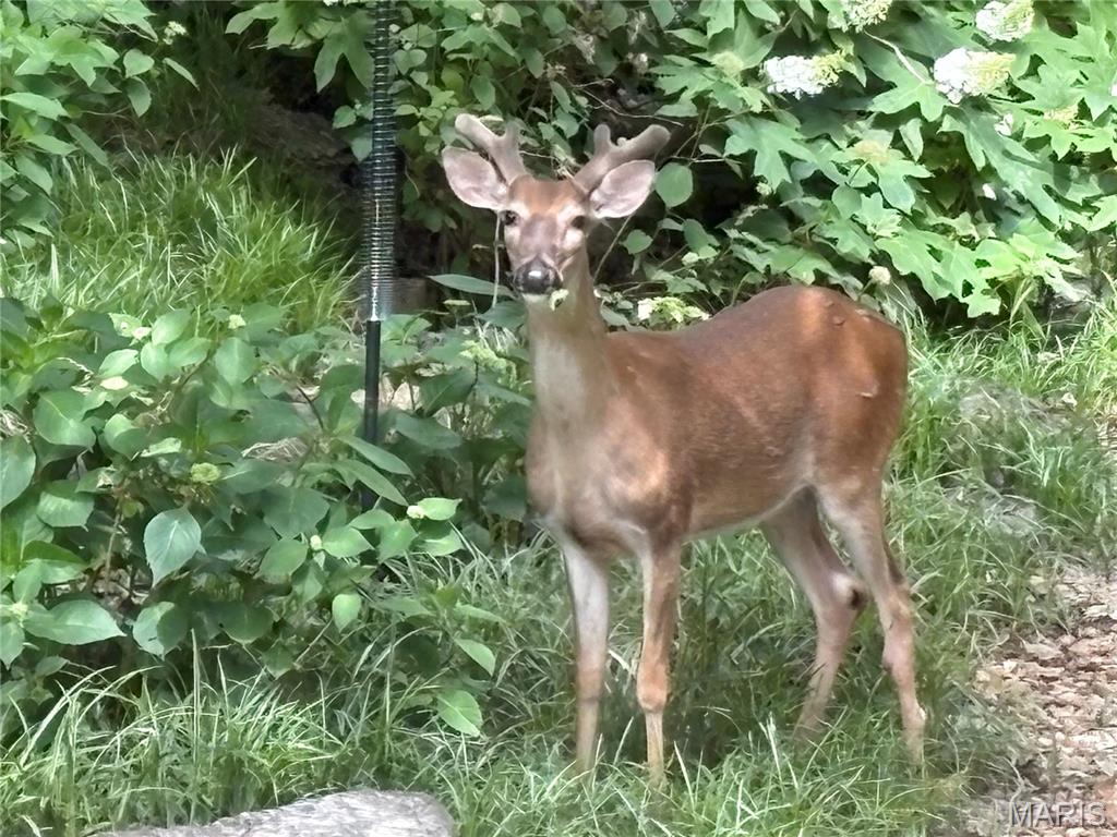 Country Club Green - Residential