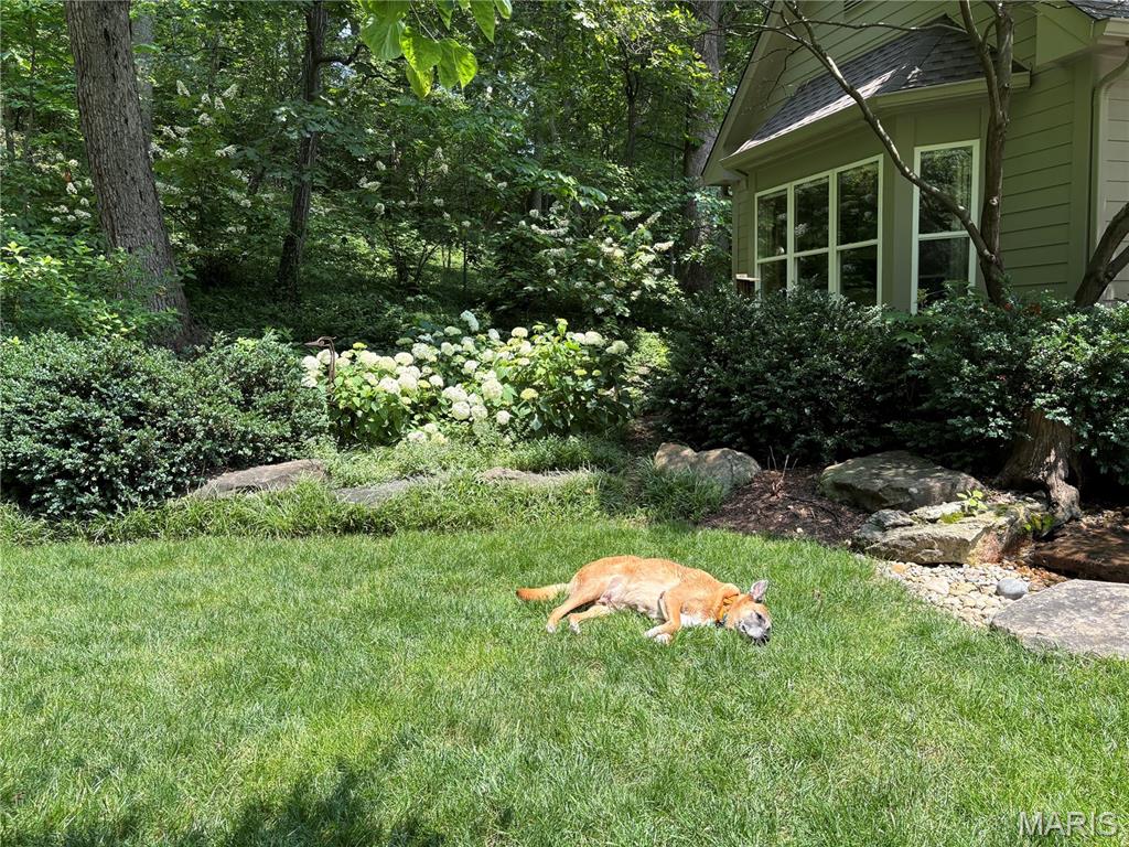 Country Club Green - Residential