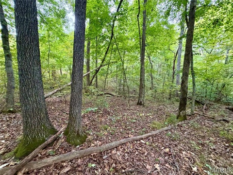 Tiny photo for 10095 Tour De Plomb Court, Potosi, MO 63664 (MLS # 26058009)