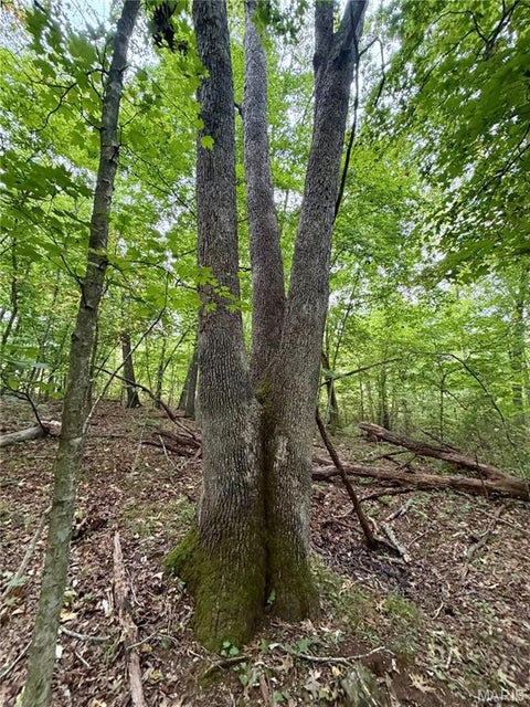 Tiny photo for 10095 Tour De Plomb Court, Potosi, MO 63664 (MLS # 26058009)
