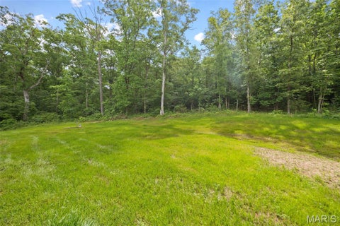 Tiny photo for 10095 Tour De Plomb Court, Potosi, MO 63664 (MLS # 26058009)