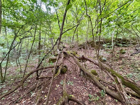 Tiny photo for 10095 Tour De Plomb Court, Potosi, MO 63664 (MLS # 26058009)