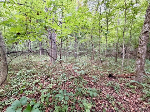 Tiny photo for 10095 Tour De Plomb Court, Potosi, MO 63664 (MLS # 26058009)