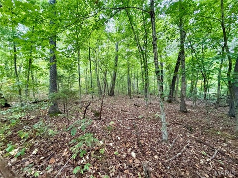 Tiny photo for 10095 Tour De Plomb Court, Potosi, MO 63664 (MLS # 26058009)
