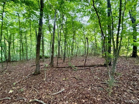Tiny photo for 10095 Tour De Plomb Court, Potosi, MO 63664 (MLS # 26058009)
