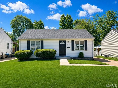 Photo of 9546 Theodosia Avenue, Overland, MO 63114 (MLS # 26026547)