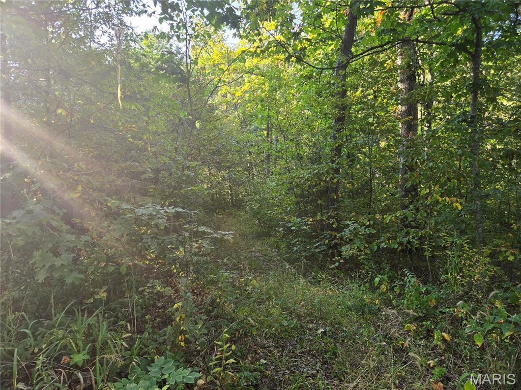 0 Tranquil Oaks