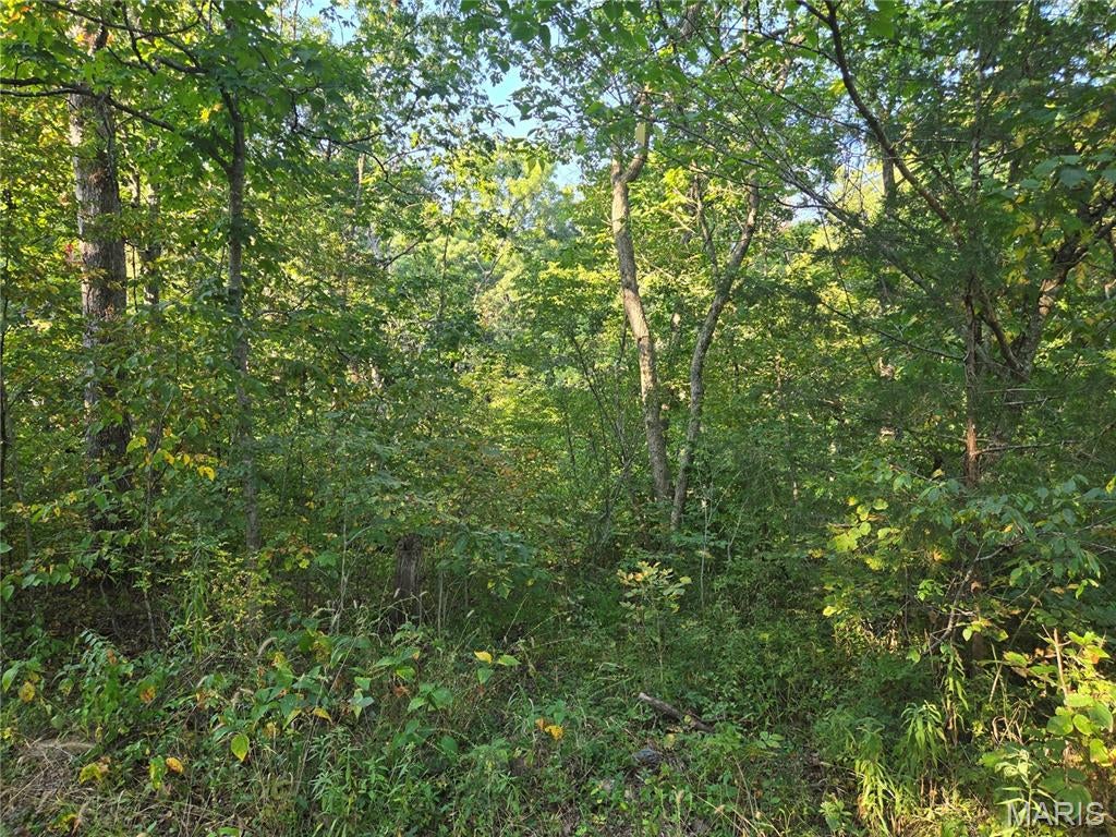 0 Tranquil Oaks