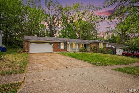 Photo of 4340 Tanglebrook Drive, Black Jack, MO 63033 (MLS # 26021906)