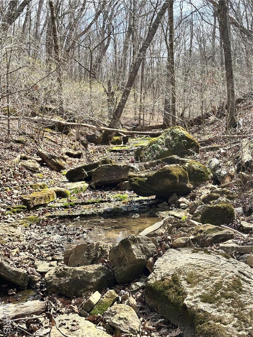 Secluded property located at end of easement road.  Best use would be hunting and recreation.
Completely wooded with wet weather creek. When viewing property you need to park at beginning of easement road which goes down a fairly steep hill.  ABSOLUTELY no driving down easement road.  You will get stuck.  At the bottom of the easement road the property begins.  You will see a line of survey flags marking the west line. None of the other lines are marked.  Bring the attached topo map to navigate the property.