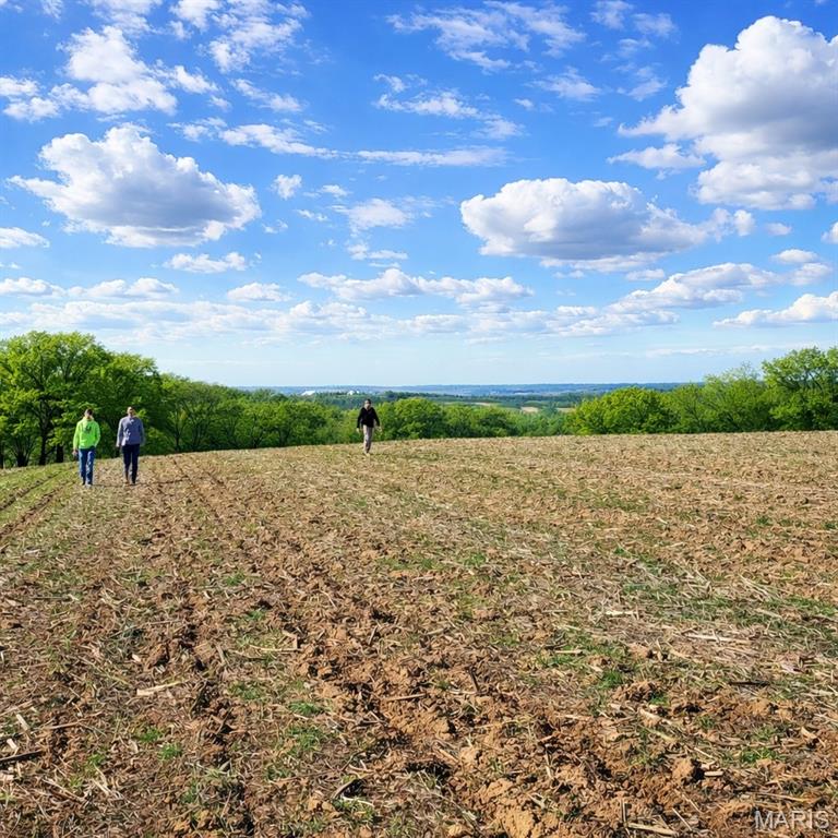 Hidden Hill at Magnolia Lakes (Old Hwy 100) - Land