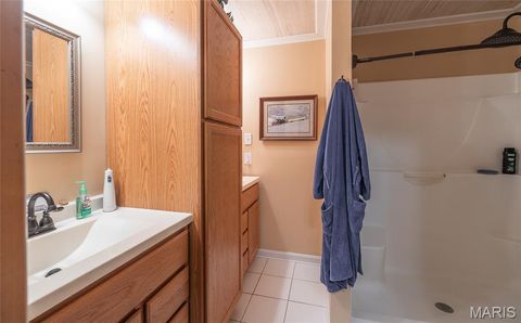 Tiny photo for 1455 Madison 441, Fredericktown, MO 63645 (MLS # 26024543)