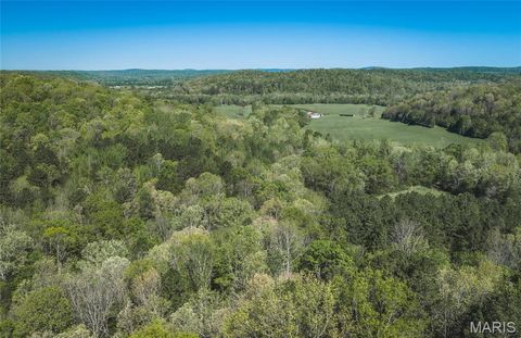 Tiny photo for 1455 Madison 441, Fredericktown, MO 63645 (MLS # 26024543)