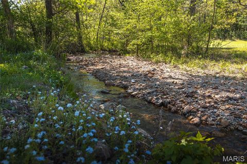 Tiny photo for 1455 Madison 441, Fredericktown, MO 63645 (MLS # 26024543)