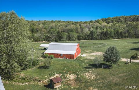Tiny photo for 1455 Madison 441, Fredericktown, MO 63645 (MLS # 26024543)