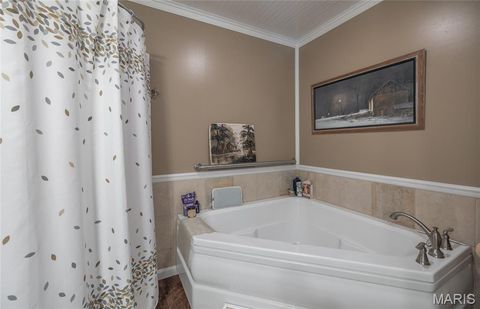 Tiny photo for 1455 Madison 441, Fredericktown, MO 63645 (MLS # 26024543)