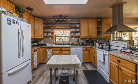 Tiny photo for 1455 Madison 441, Fredericktown, MO 63645 (MLS # 26024543)