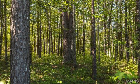 Tiny photo for 1455 Madison 441, Fredericktown, MO 63645 (MLS # 26024543)
