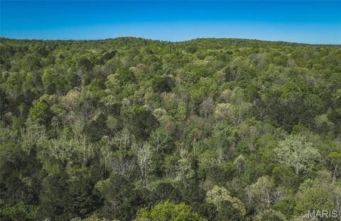 Tiny photo for 1455 Madison 441, Fredericktown, MO 63645 (MLS # 26024543)