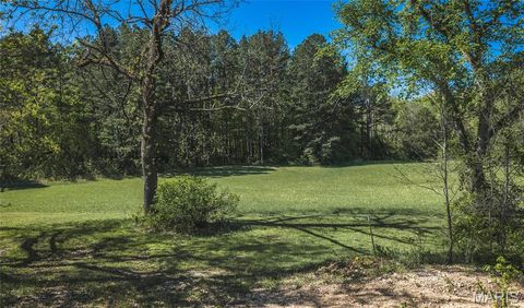 Tiny photo for 1455 Madison 441, Fredericktown, MO 63645 (MLS # 26024543)