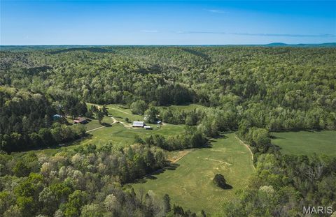 Tiny photo for 1455 Madison 441, Fredericktown, MO 63645 (MLS # 26024543)
