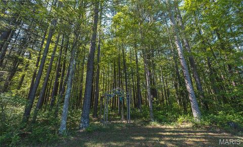 Tiny photo for 1455 Madison 441, Fredericktown, MO 63645 (MLS # 26024543)
