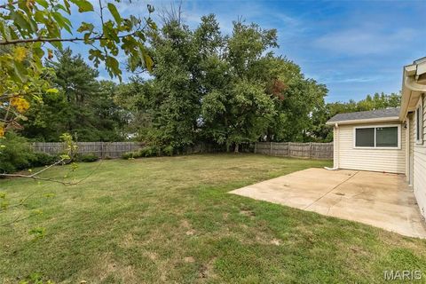 Tiny photo for 15451 Duxbury Way, Chesterfield, MO 63017 (MLS # 25067526)
