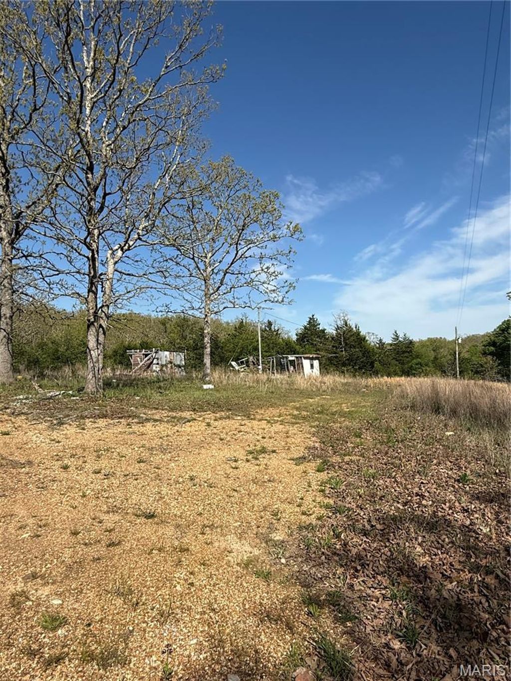 Photo of 149 N Roanoke Road, Salem, MO 65560 (MLS # 26024279)