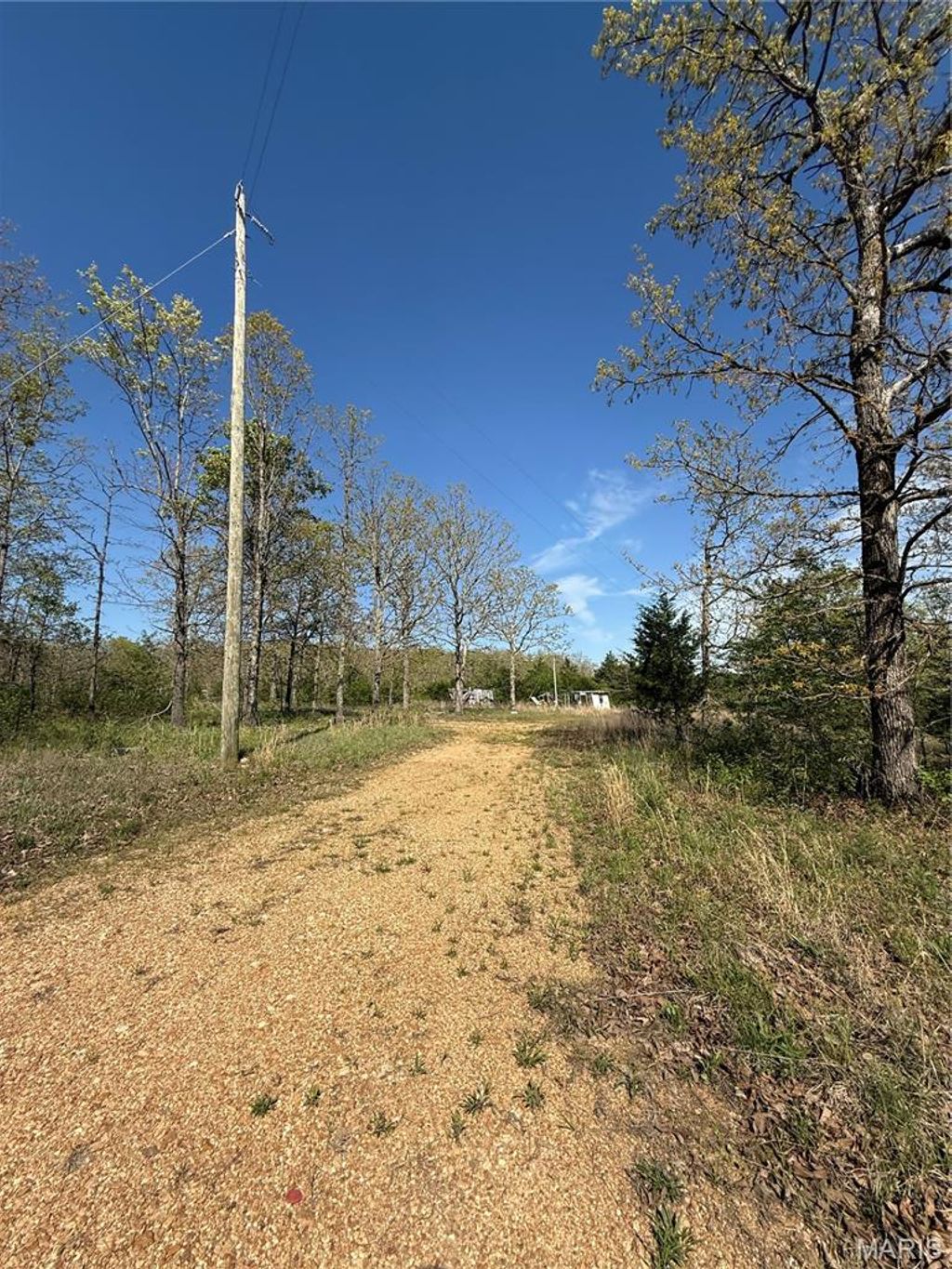 Photo of 149 N Roanoke Road, Salem, MO 65560 (MLS # 26024279)