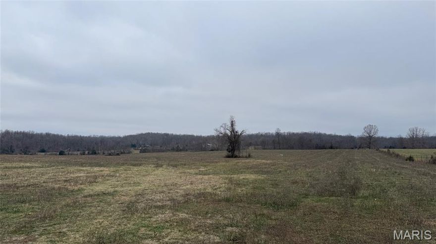 Check out this really nice 39+/- acre parcel with mostly pasture and a livestock pond along with an old home place in the corner with an old well (owner doesn't know condition) and electric running through the property making it the perfect spot to build that dream home one day! The fences need work and a storm in 2024 pushed over some trees but this property is priced accordingly! Seller has one deed restriction of no commercial businesses/ poultry houses can be built on property. The property does have a 33ft easement across the North side for a neighbor (since 1995) that has never been used or road built etc. Property can be purchased with house and 84 acres total MLS # 25079900. Call today for your showing!!