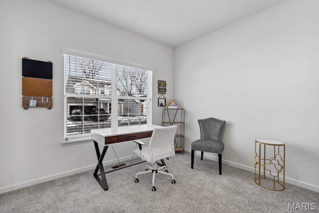 16737 River Stone Drive