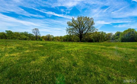Tiny photo for 1470 Gravois Road, St Clair, MO 63077 (MLS # 26024137)