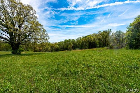 Tiny photo for 1470 Gravois Road, St Clair, MO 63077 (MLS # 26024137)